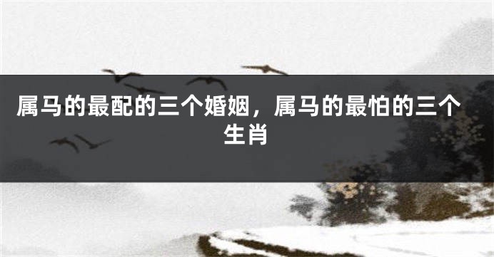 属马的最配的三个婚姻,属马的最怕的三个生肖