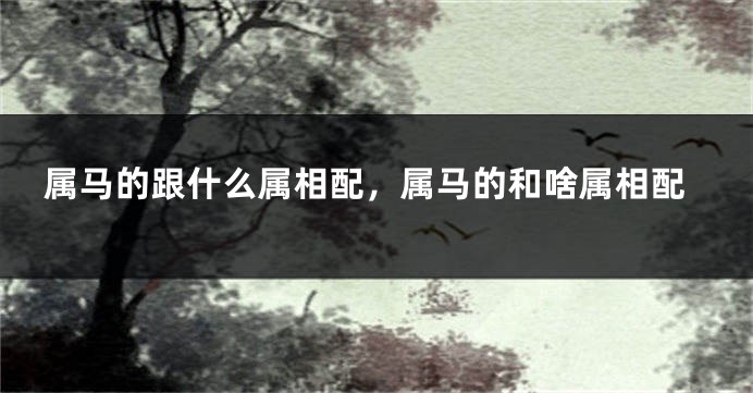 属马的跟什么属相配，属马的和啥属相配