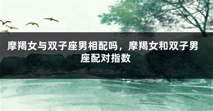 摩羯女与双子座男相配吗，摩羯女和双子男座配对指数