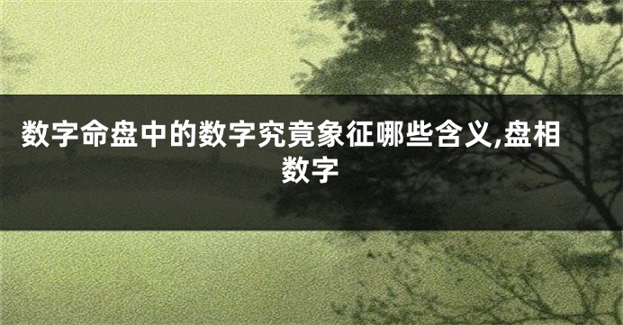 数字命盘中的数字究竟象征哪些含义,盘相数字