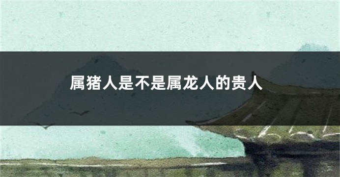 属猪人是不是属龙人的贵人