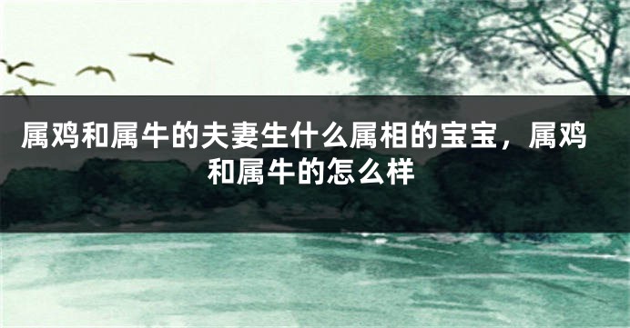 属鸡和属牛的夫妻生什么属相的宝宝，属鸡和属牛的怎么样