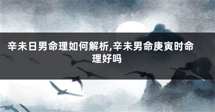 辛未日男命理如何解析,辛未男命庚寅时命理好吗