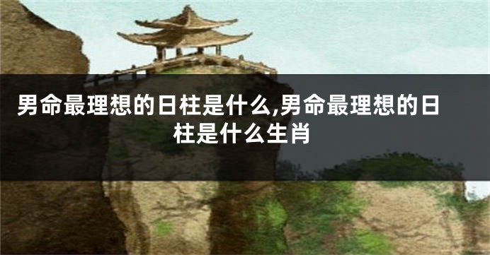男命最理想的日柱是什么,男命最理想的日柱是什么生肖
