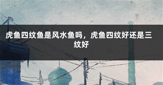 虎鱼四纹鱼是风水鱼吗，虎鱼四纹好还是三纹好
