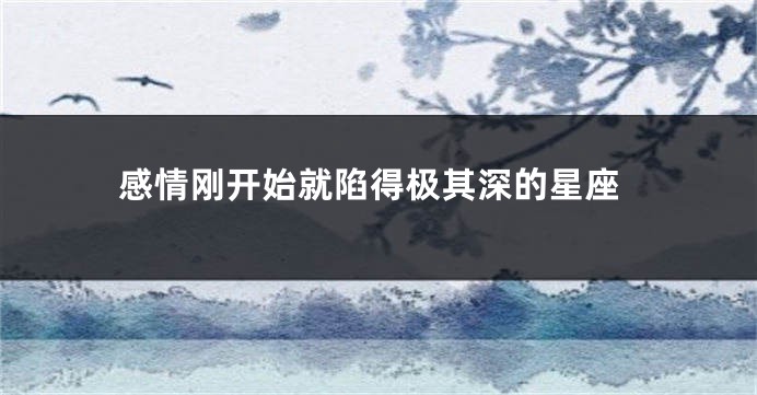 感情刚开始就陷得极其深的星座