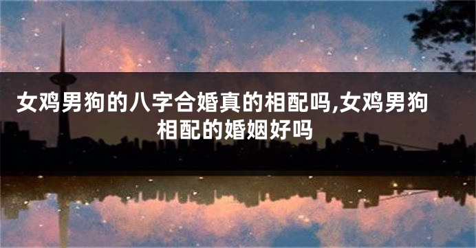女鸡男狗的八字合婚真的相配吗,女鸡男狗相配的婚姻好吗