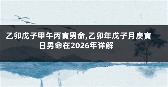 乙卯戊子甲午丙寅男命,乙卯年戊子月庚寅日男命在2026年详解
