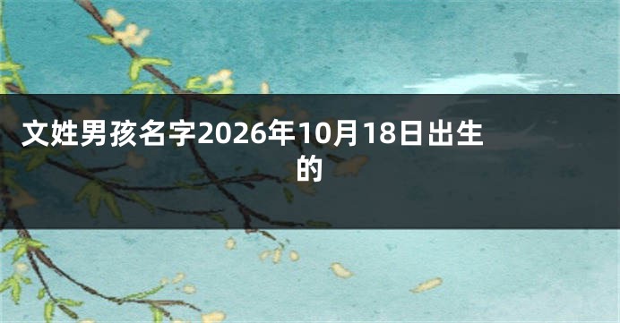 文姓男孩名字2026年10月18日出生的