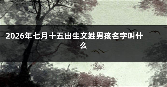2026年七月十五出生文姓男孩名字叫什么