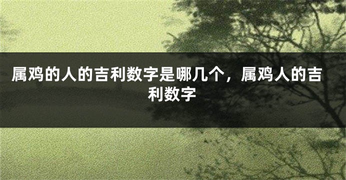 属鸡的人的吉利数字是哪几个，属鸡人的吉利数字