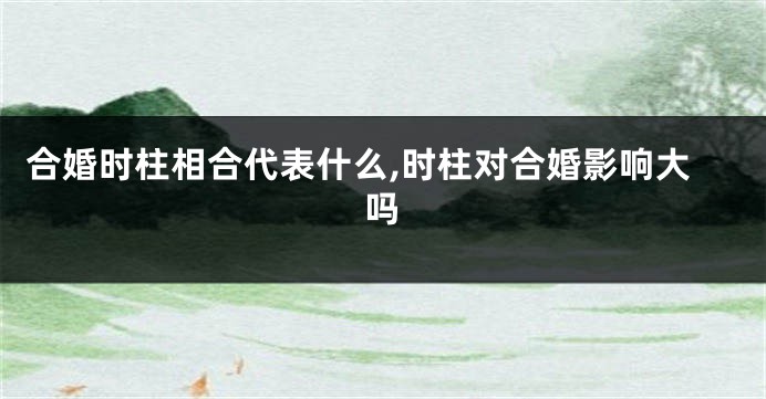 合婚时柱相合代表什么,时柱对合婚影响大吗