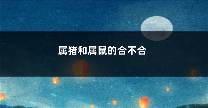 属猪和属鼠的合不合