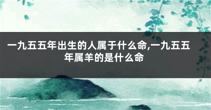 一九五五年出生的人属于什么命,一九五五年属羊的是什么命