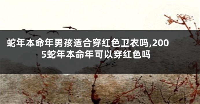 蛇年本命年男孩适合穿红色卫衣吗,2005蛇年本命年可以穿红色吗