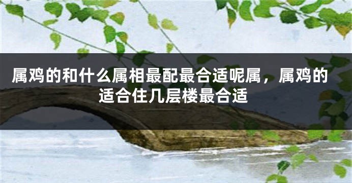 属鸡的和什么属相最配最合适呢属，属鸡的适合住几层楼最合适