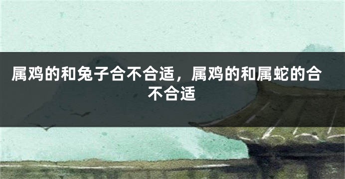 属鸡的和兔子合不合适，属鸡的和属蛇的合不合适