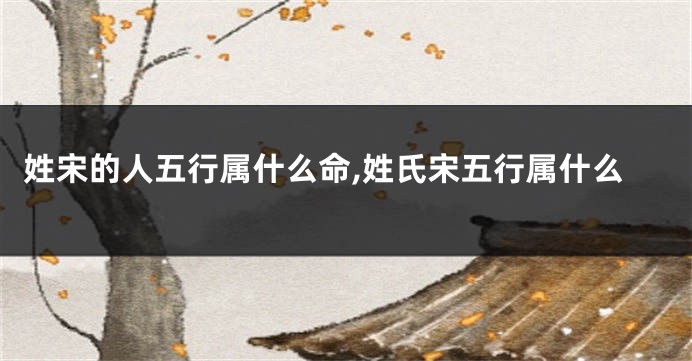 姓宋的人五行属什么命,姓氏宋五行属什么
