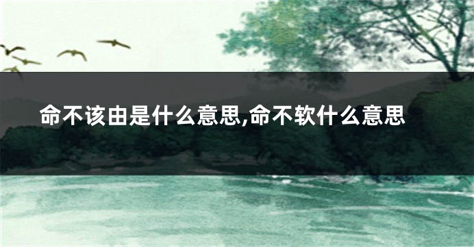 命不该由是什么意思,命不软什么意思