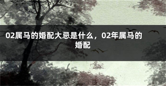 02属马的婚配大忌是什么,02年属马的婚配