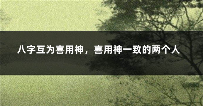 八字互为喜用神，喜用神一致的两个人