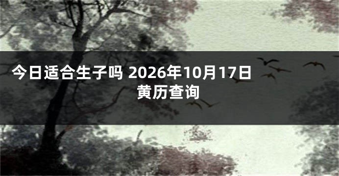 今日适合生子吗 2026年10月17日黄历查询