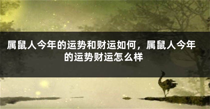 属鼠人今年的运势和财运如何，属鼠人今年的运势财运怎么样