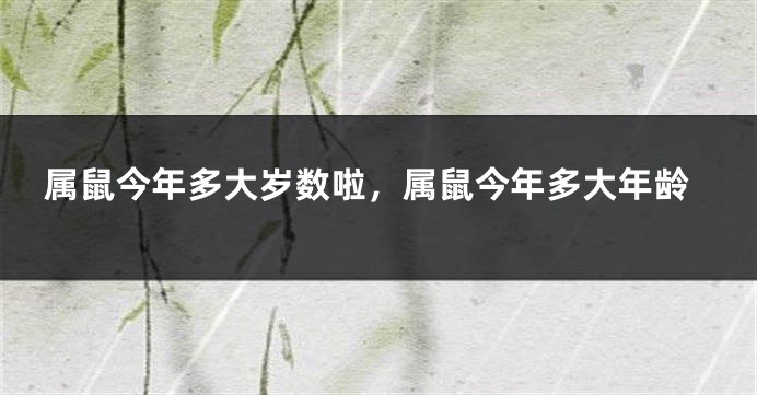 属鼠今年多大岁数啦，属鼠今年多大年龄