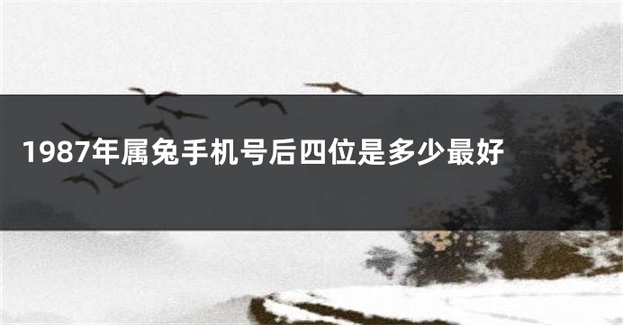 1987年属兔手机号后四位是多少最好 