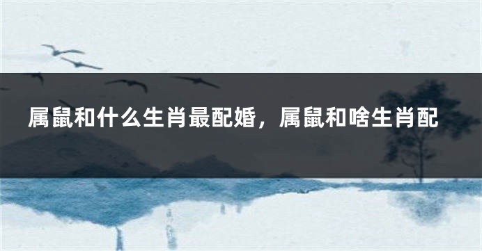 属鼠和什么生肖最配婚，属鼠和啥生肖配