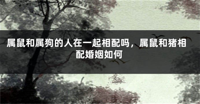 属鼠和属狗的人在一起相配吗，属鼠和猪相配婚姻如何