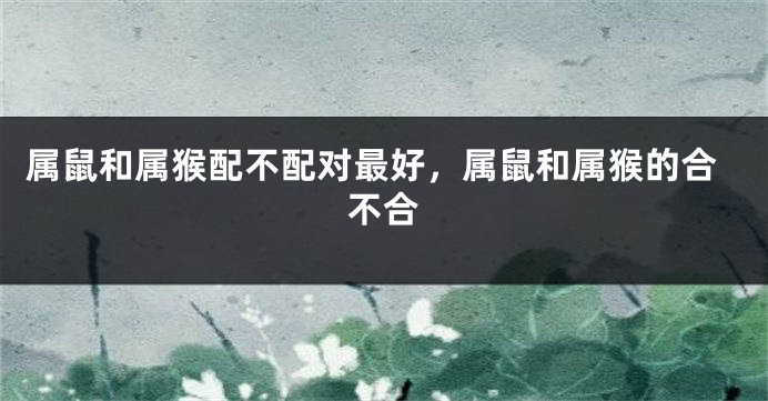属鼠和属猴配不配对最好，属鼠和属猴的合不合