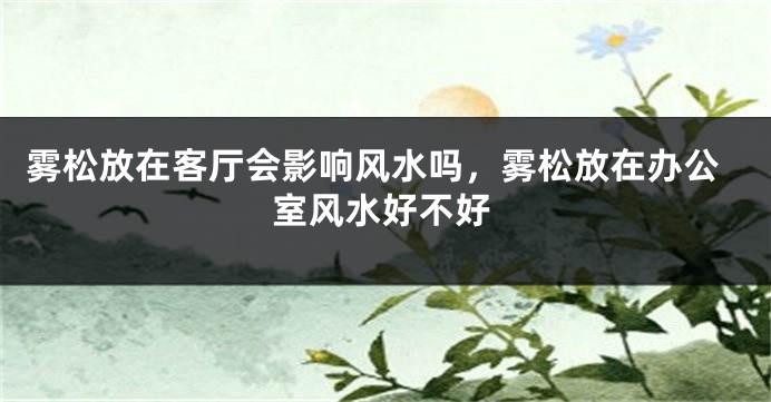 雾松放在客厅会影响风水吗，雾松放在办公室风水好不好