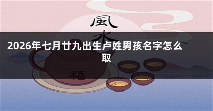 2026年七月廿九出生卢姓男孩名字怎么取