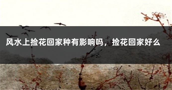 风水上捡花回家种有影响吗，捡花回家好么