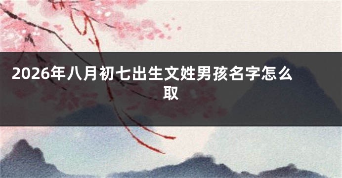 2026年八月初七出生文姓男孩名字怎么取