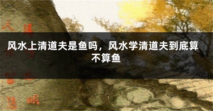 风水上清道夫是鱼吗，风水学清道夫到底算不算鱼