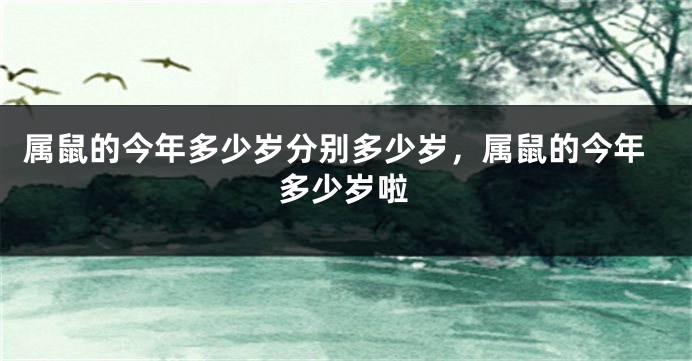 属鼠的今年多少岁分别多少岁，属鼠的今年多少岁啦