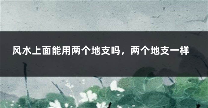 风水上面能用两个地支吗，两个地支一样