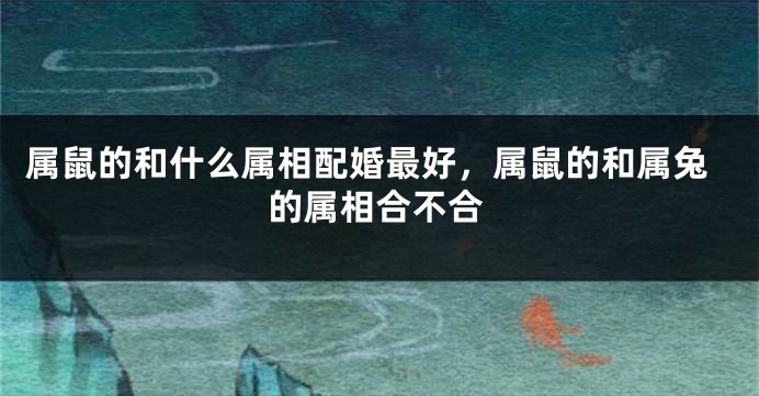 属鼠的和什么属相配婚最好，属鼠的和属兔的属相合不合