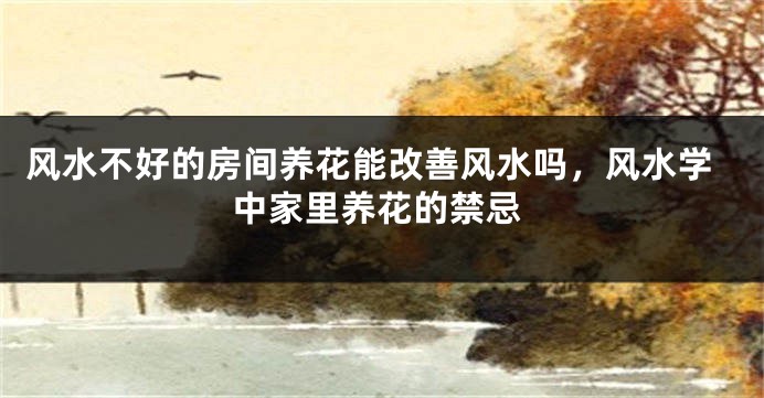 风水不好的房间养花能改善风水吗,风水学中家里养花的禁忌