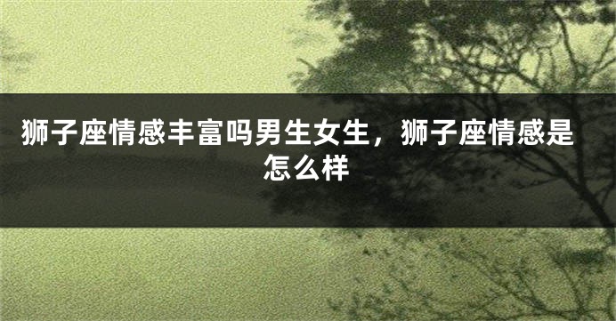 狮子座情感丰富吗男生女生，狮子座情感是怎么样