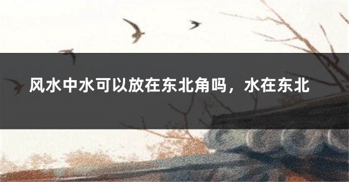 风水中水可以放在东北角吗，水在东北